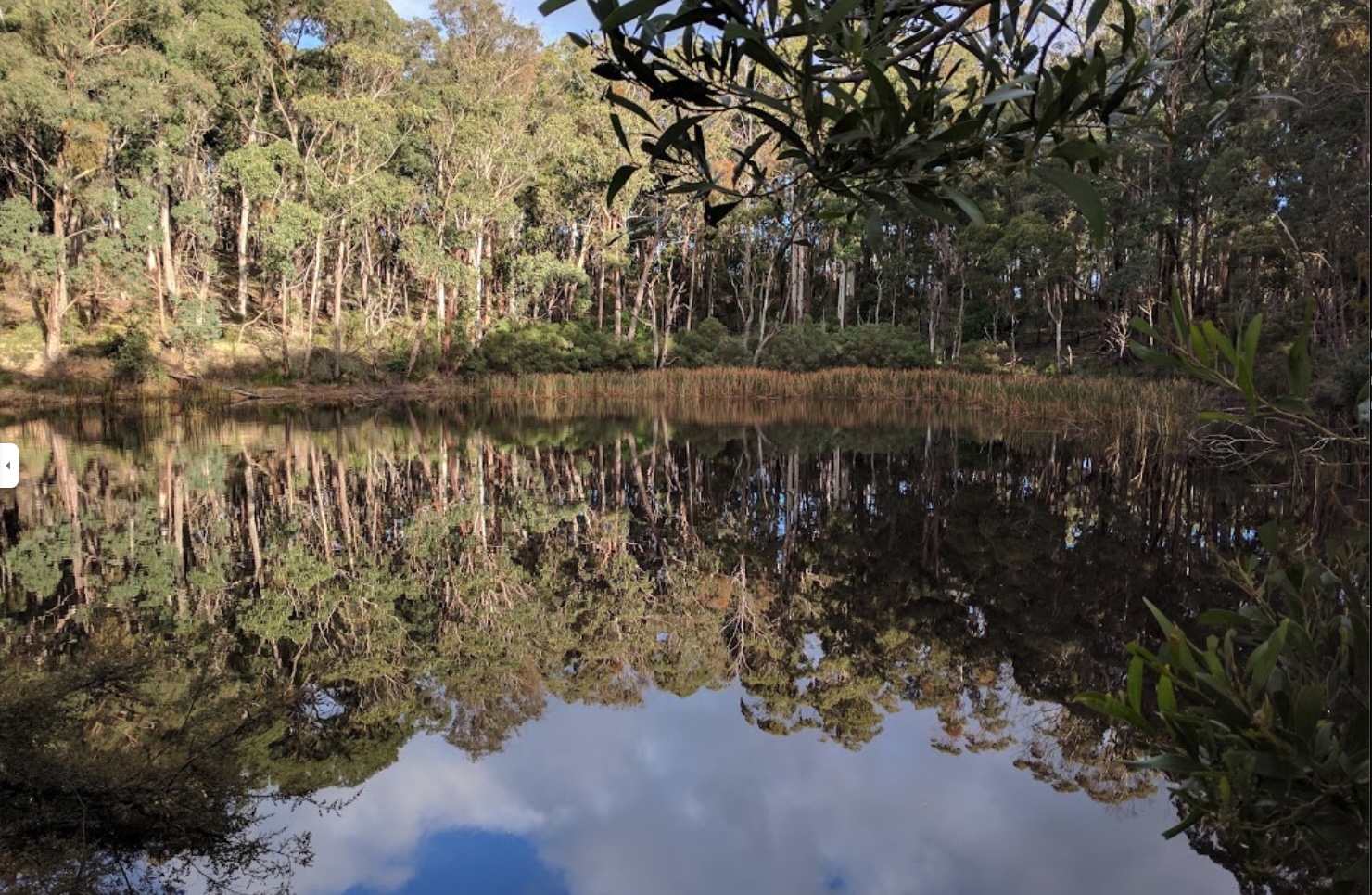 Shaws Lake